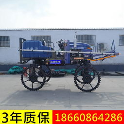 自走式三輪打藥機 高效農用殺蟲噴藥新選擇