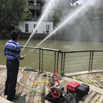 農(nóng)田噴藥設(shè)備選購指南 柴油、汽油與手推式噴藥機價格與特性解析