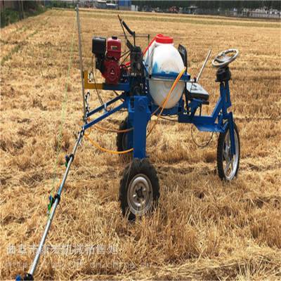 婁底園林四輪手推式打藥機與柴油機三輪車小麥噴藥機及運苗機綜合應用解析